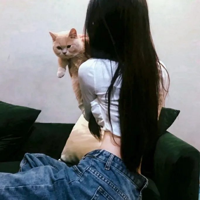 科科达前线
